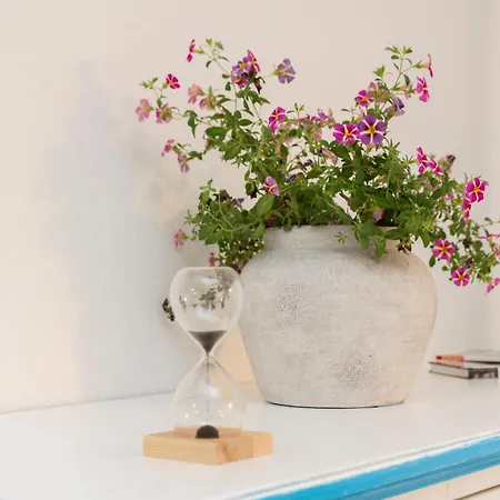 Ng Collection Luna Di Mare *